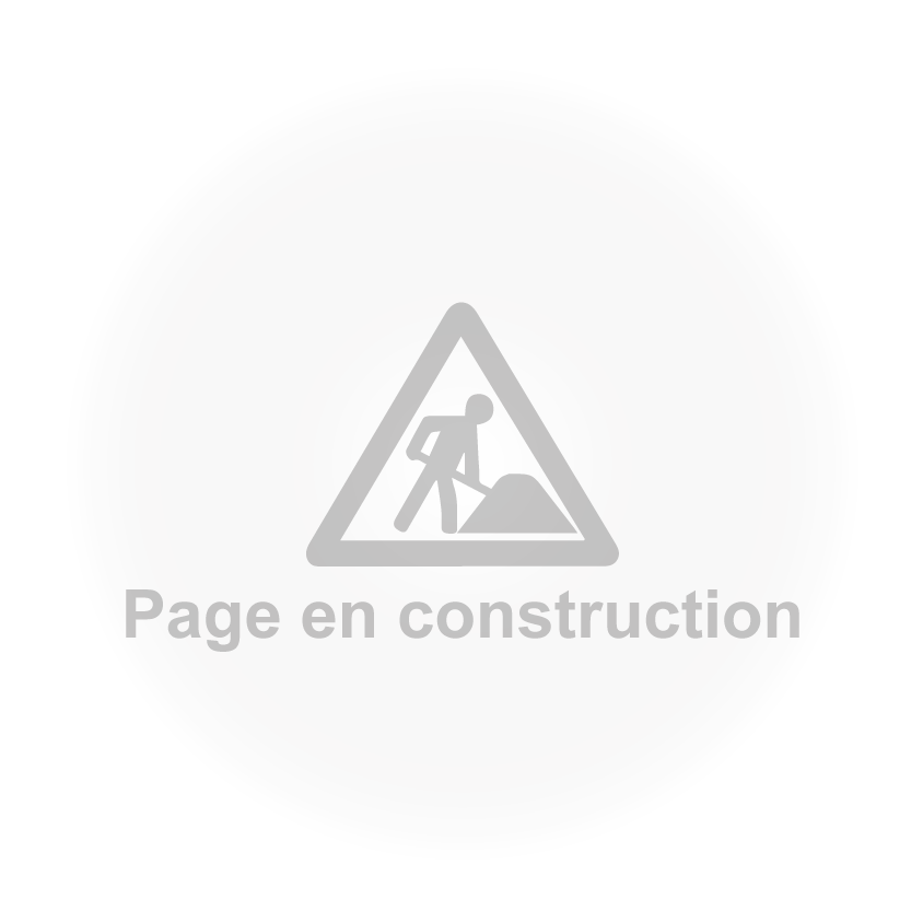Page en construction Douane ivoirienne